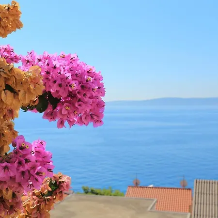 Appartamento By The Sea Rastici, Ciovo - 11723